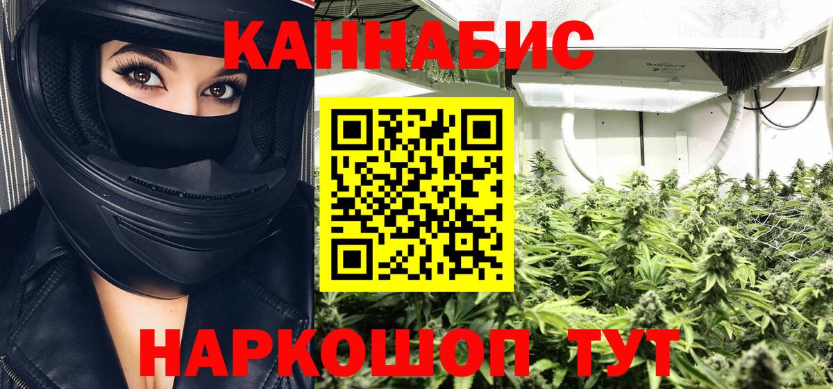 Шишки марихуана план  Вход с VPN  Марихуана тримм  Острогожск  Канабис семена  Шишки марихуана MAZAR 